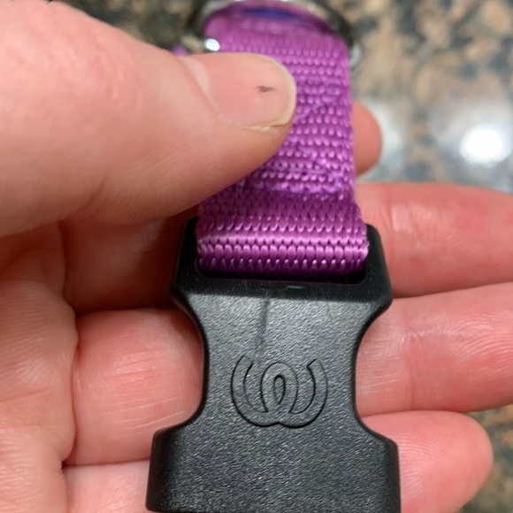 Blueberry Pet Classic Dog Collar, Dark Orchid, Nylon Collars for Dogs - Picture 7 of 7